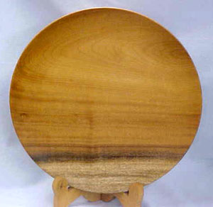 X-Large Plate
